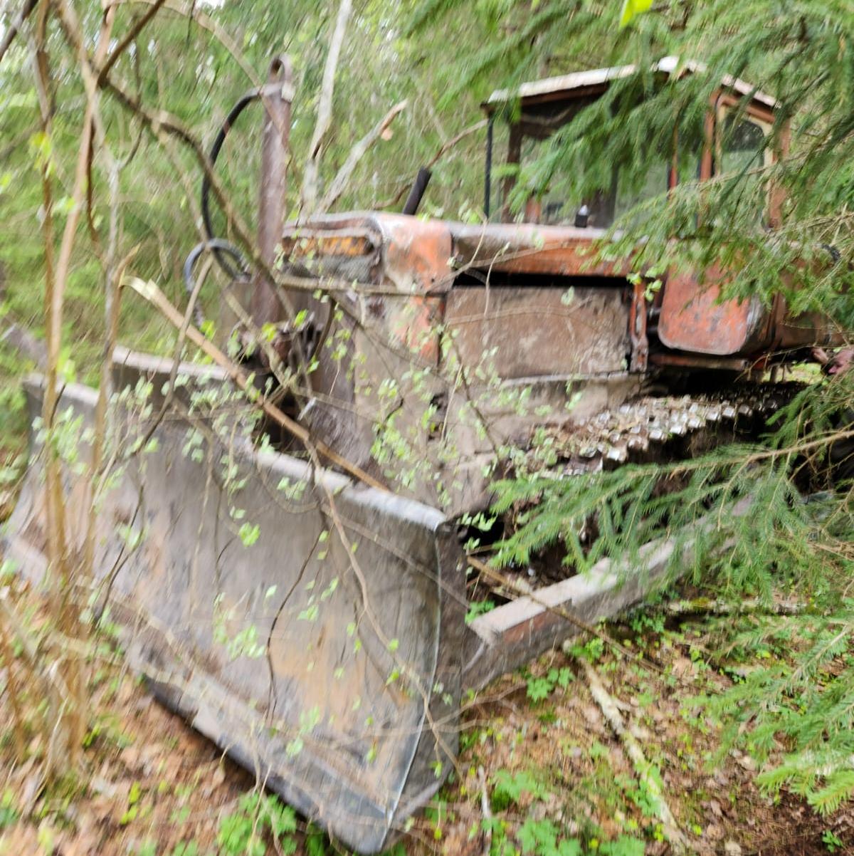 В Холмском районе задержали «черного лесоруба»