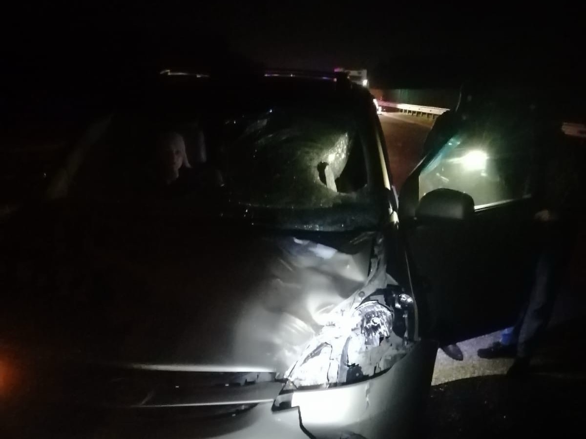 на ночной дороге сбили пешехода