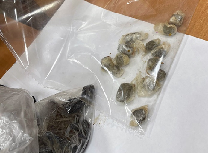 В тульской колонии сыщики нашли наркотики в передачке в черносливе