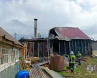 В Тульской области при пожарах в своих домах погибли двое мужчин