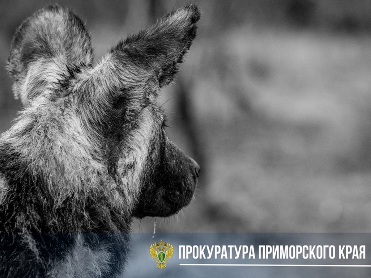 фото тематическое