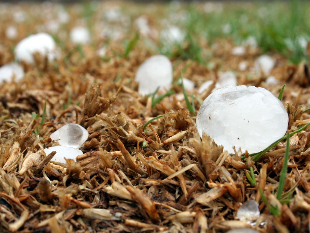в СНТ выпал град