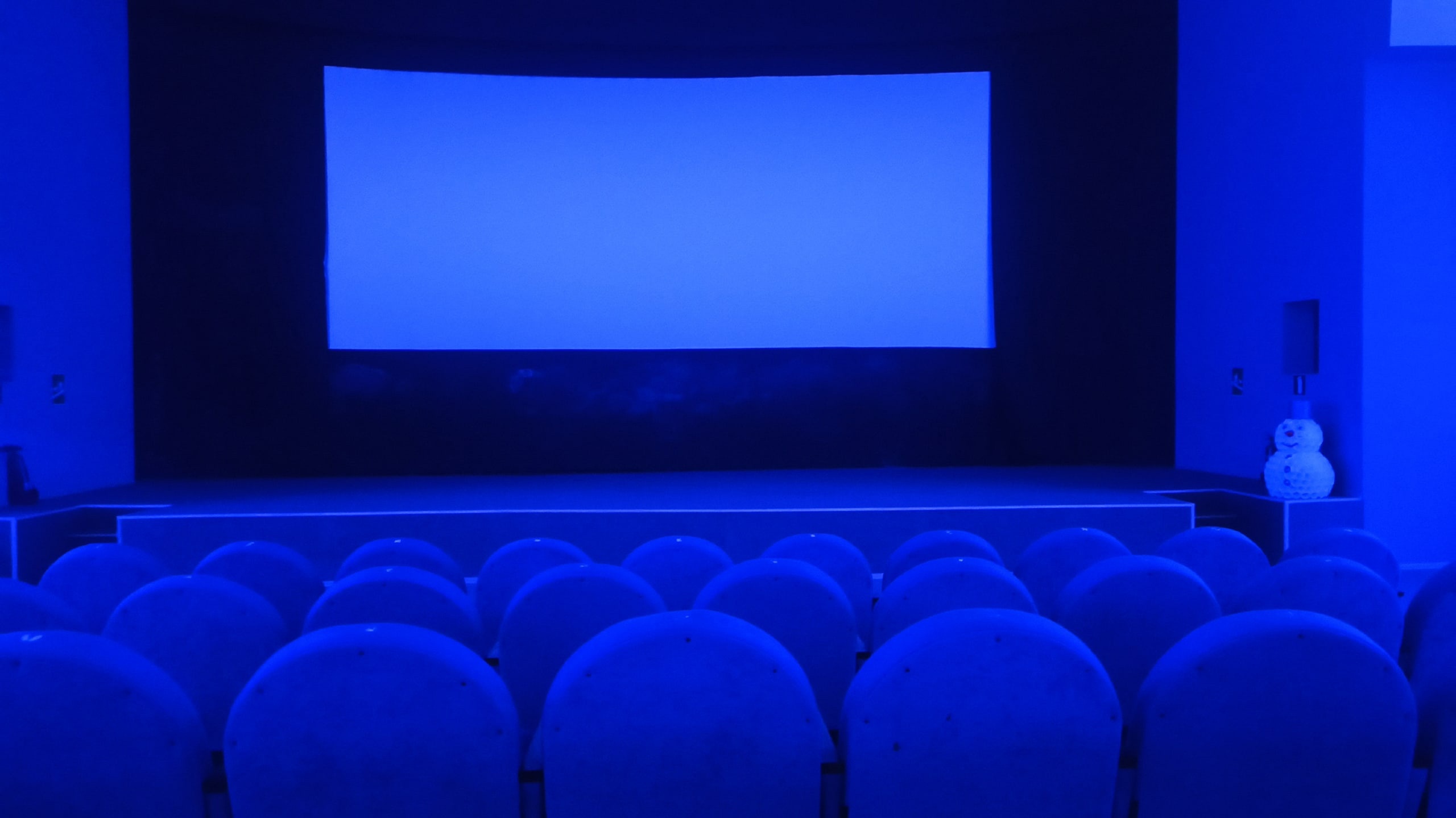 В Иванове полиция задержала дебошира-любителя хорошего кино