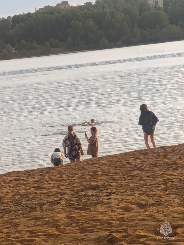 «купаются»