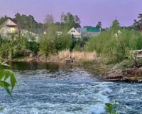 В Тамбове из-за падения уровня воды в Цне установят временную перемычку