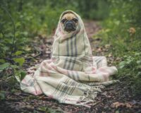 matthew-henry-u5rmrsi7pn4-unsplash09311270030