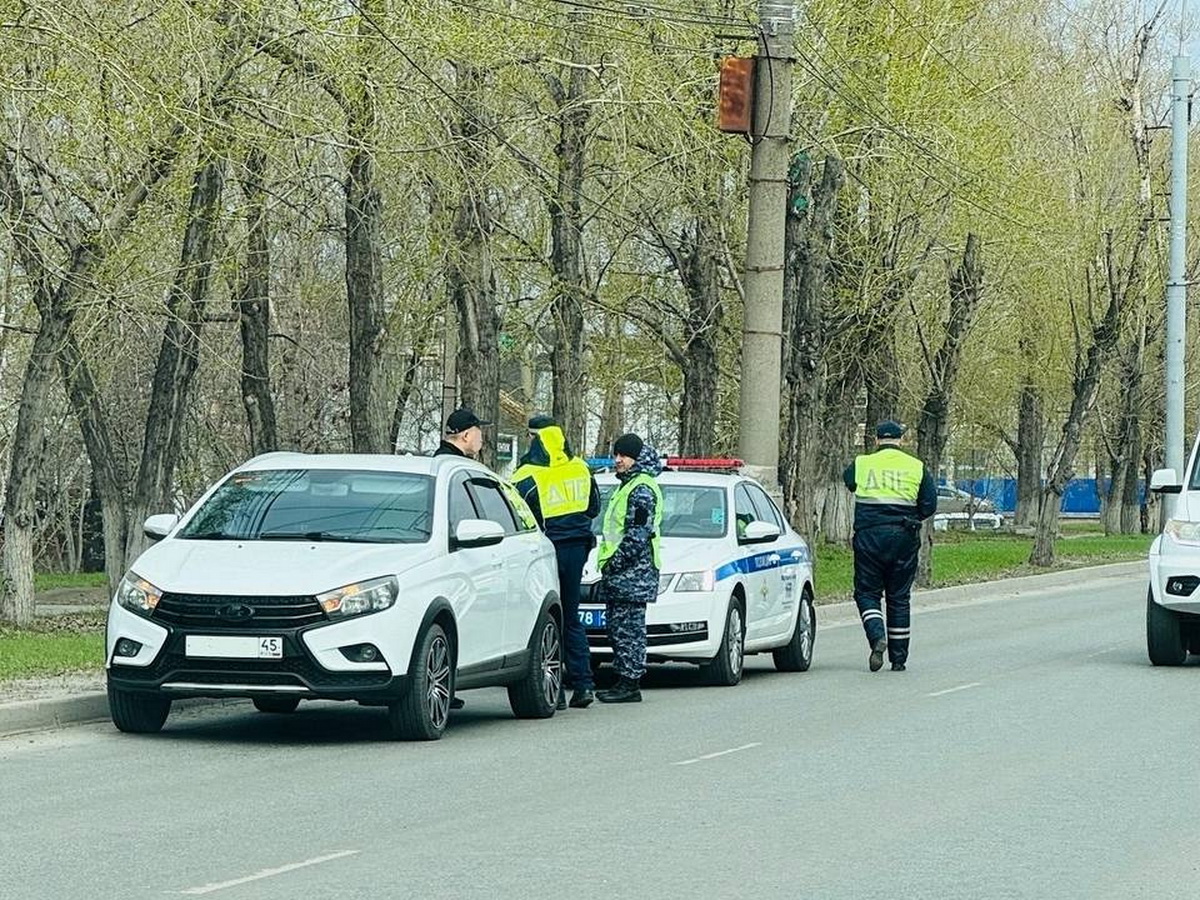 Проверка водителей ГИБДД