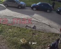 драка детей