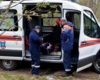 спасли из леса