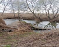 Из-за размытия моста жители Рязанской области делаем огромный крюк, чтобы приехать на кладбище