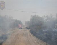 Амурская область, май 2024 года