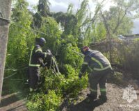 В Тульской области налетевший ураган нанес разрушения целой деревни