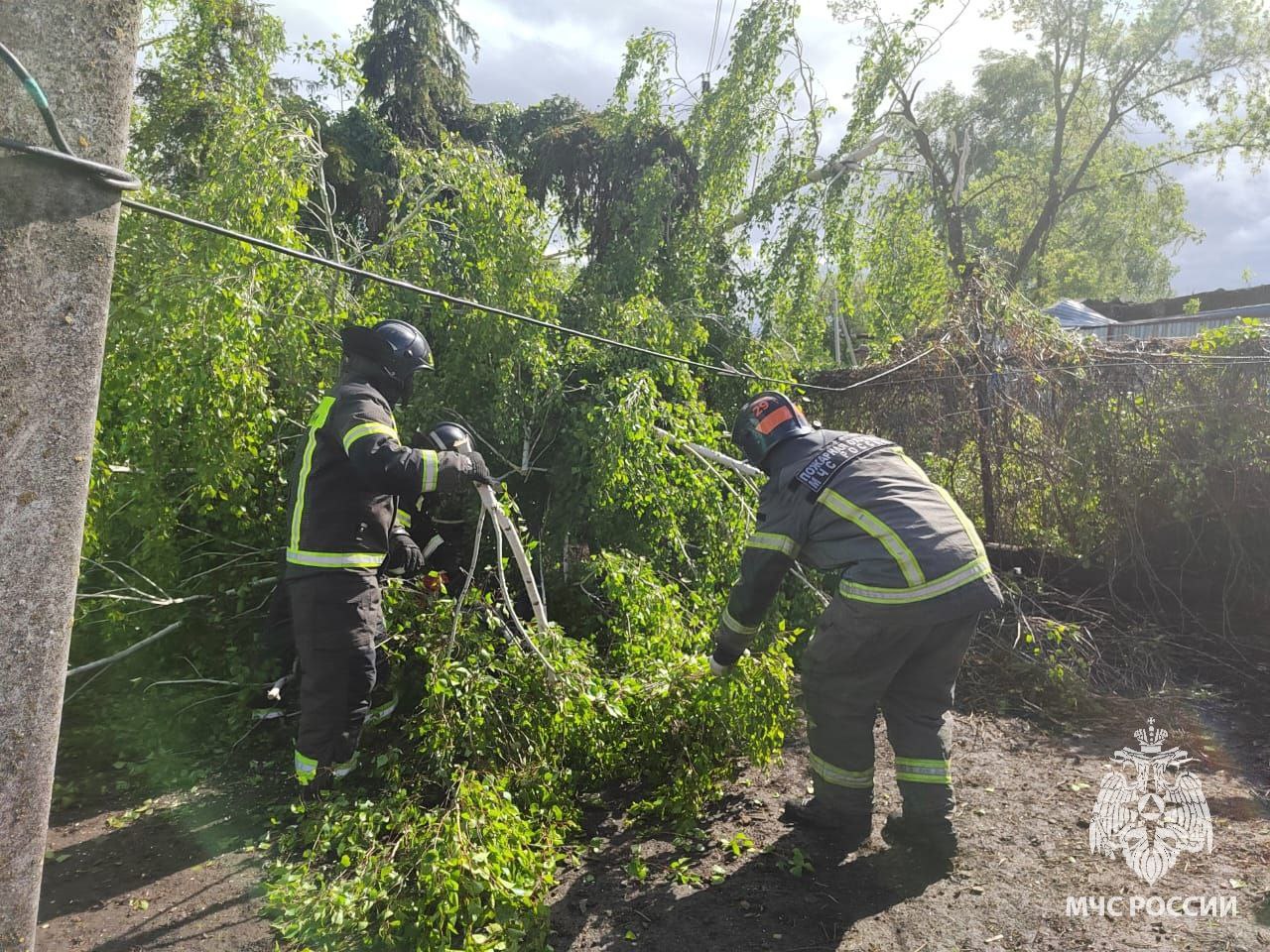 В Тульской области налетевший ураган нанес разрушения целой деревни