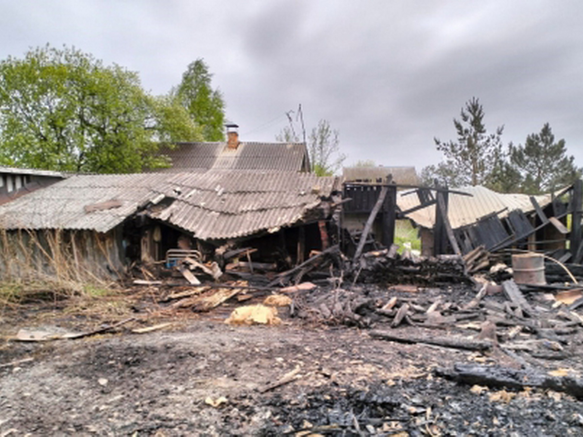 Пожар в Чистое