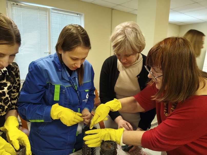 Посадка желудей