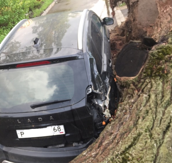 В Тамбовской области два человека пострадали от налетевшего урагана