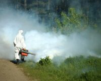 В Ростове увеличили количество городских территорий, где проведут обработку от клещей