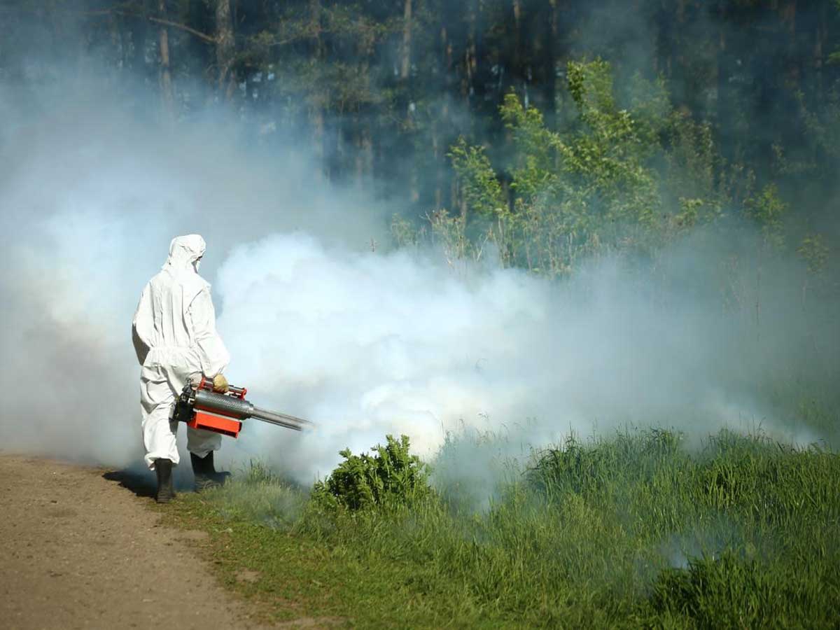 В Ростове увеличили количество городских территорий, где проведут обработку от клещей