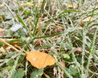 В Ивановской области ночью и утром 7 мая ожидаются заморозки