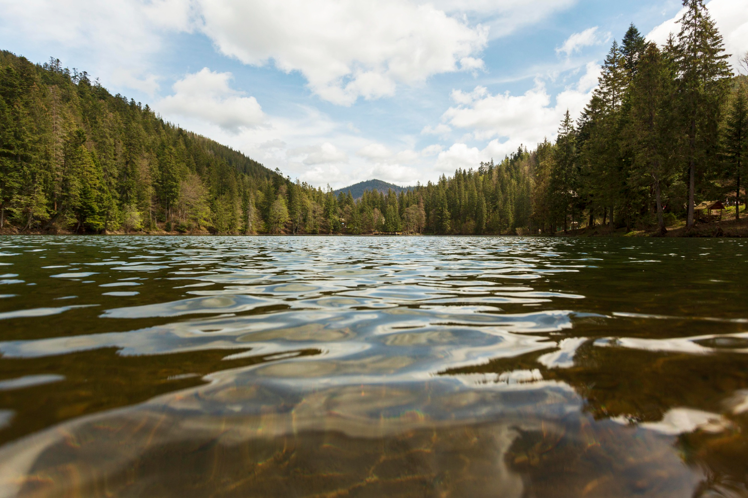 214899246011323715027