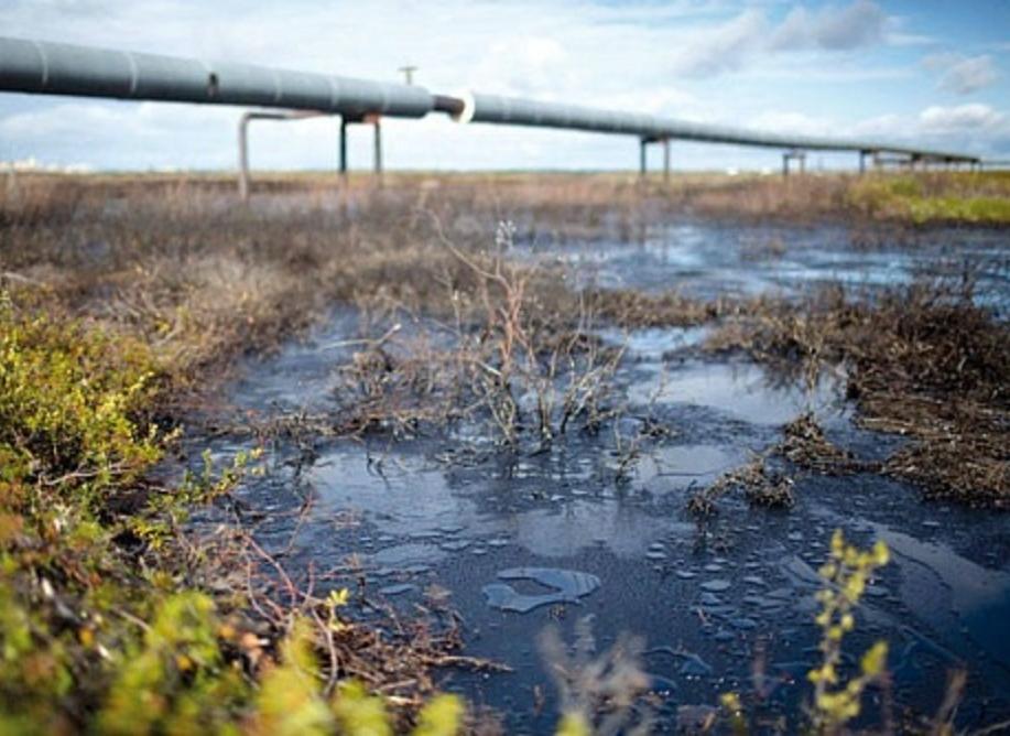 загрязнение почвы