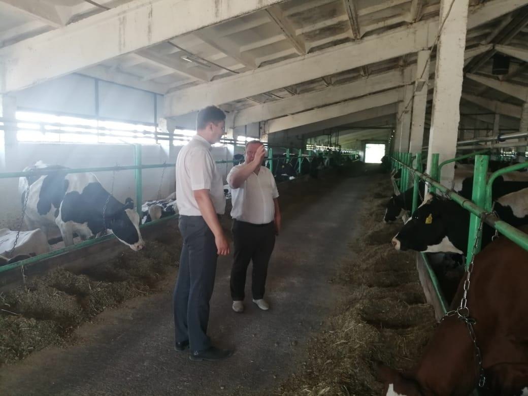 Племзавод "Пролетарий"