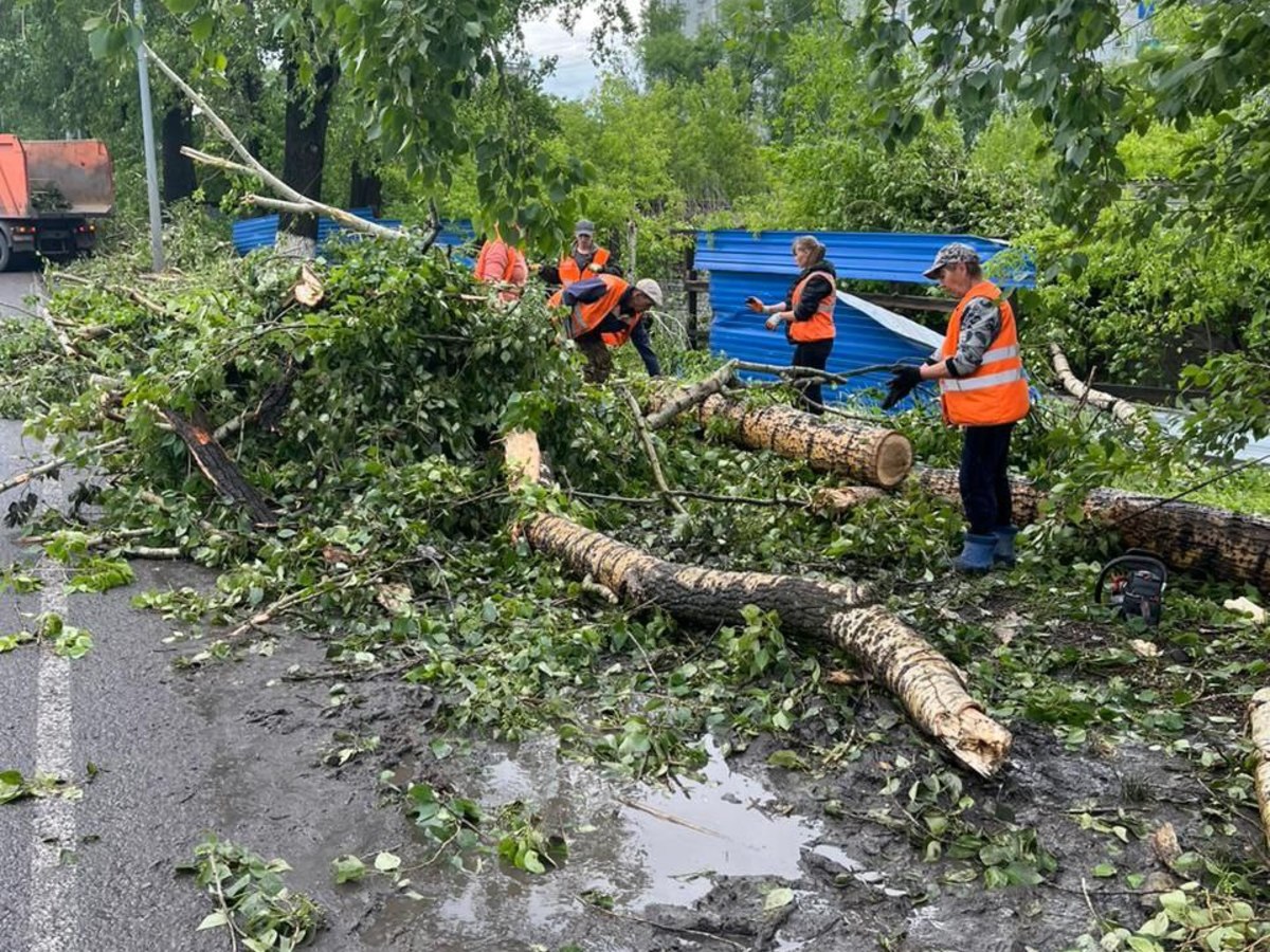 Новокузннецк 06.06.2024