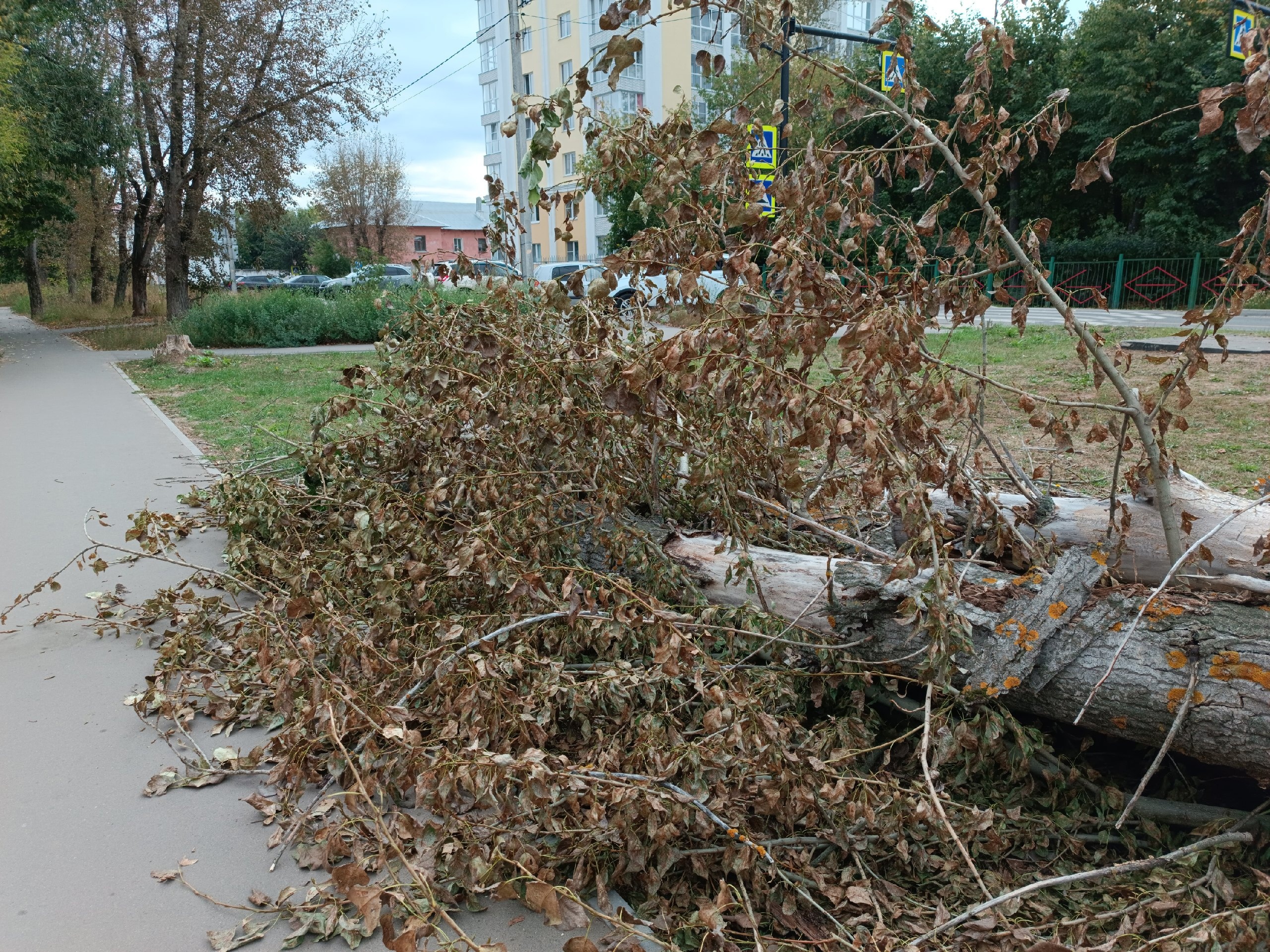 В Ивановской области 3 района остались без света из-за грозы с порывистым ветром