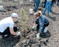 Более 5 га прилегающих территорий очищено железнодорожниками в Орловской области в текущем году