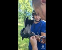 Высокого тебе полёта в новгородском небе, Машка!