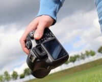 В Тульской заповеднике Куликово поле сняли на видео бабочку-колибри