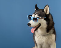 214919235708505753012