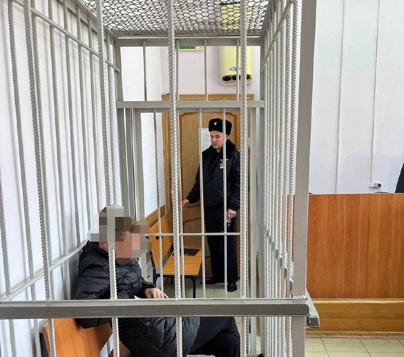 Дело смолянки, исколовшей вилами и ножом голову женщине, передано в суд