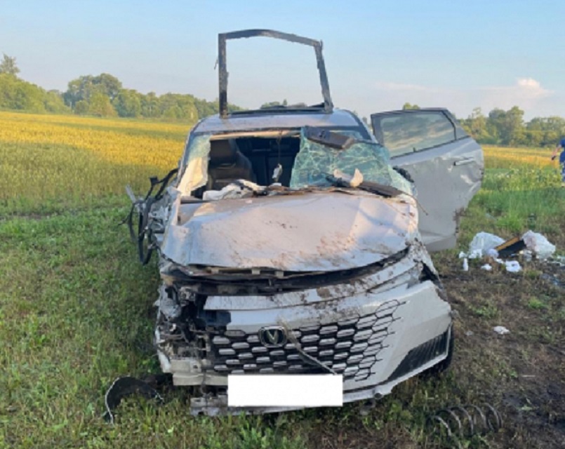 В Тамбовской области уснувший с пассажирами водитель улетел в кювет