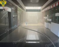 В Новомосковске прокуратура начала проверку из-за пожара в ТЦ «Милан»