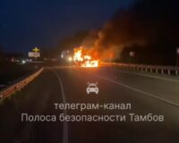 На трассе под Тамбовом сгорела «Газель» с товарами для Wildberries