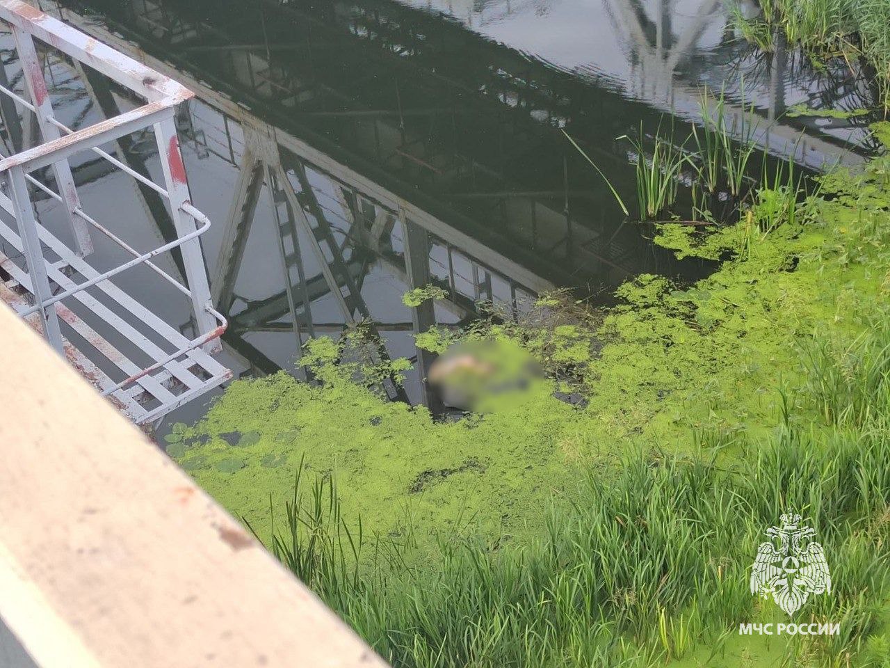 В Тульской области за один день утонули двое молодых мужчин