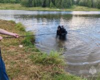 Житель Тульской области перевернулся на лодке с двумя знакомым и утонул
