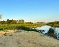 В Тамбовской области в пруду на глазах друзей утонула 11-летняя девочка