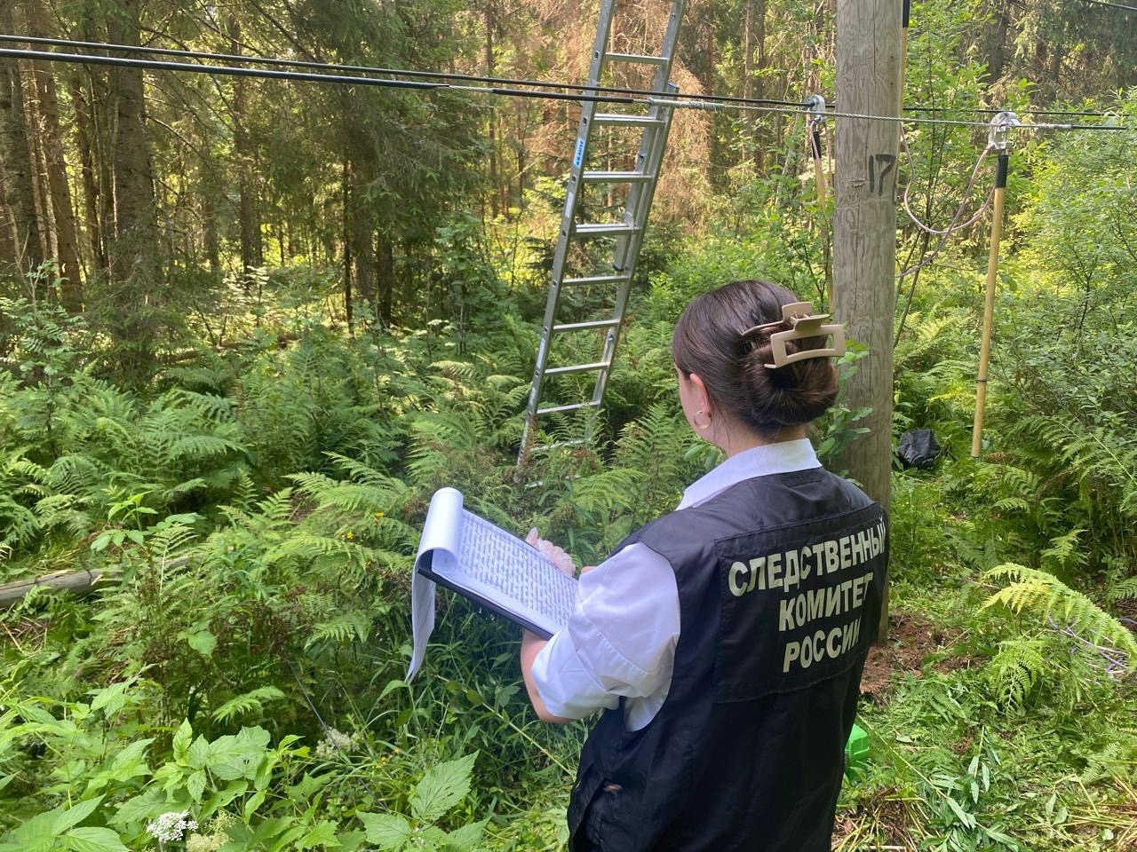 На руке погибшего в Новгородской области остался след от удара током
