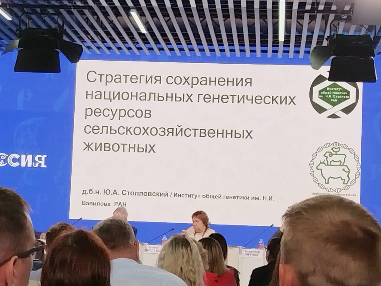 Конференция