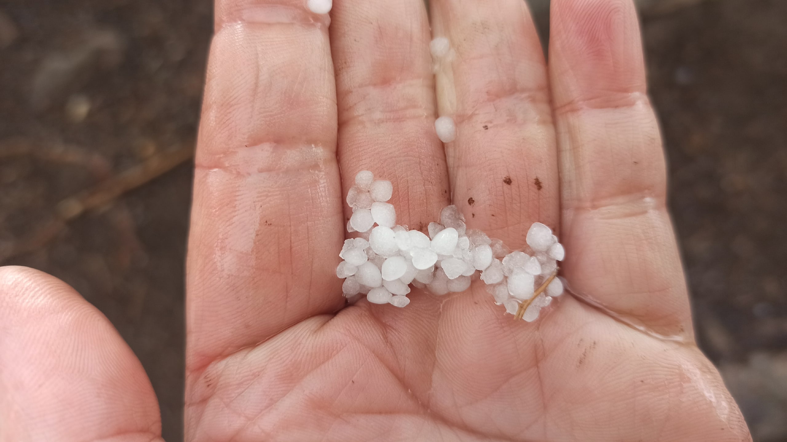 В Ивановской области 4 июля ожидается град