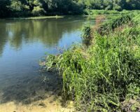 Под Тамбовом из пруда водолазы достали тело утонувшего пенсионера