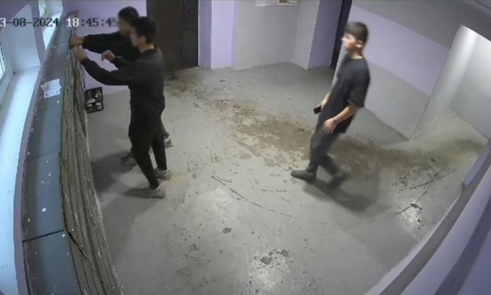 мигранты в подъезде