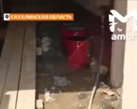 ремонт школа