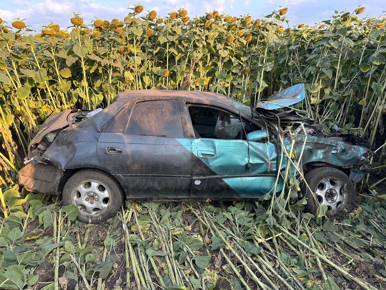 В Тульской области иномарка перевернулась с трассы в поле с подсолнухами