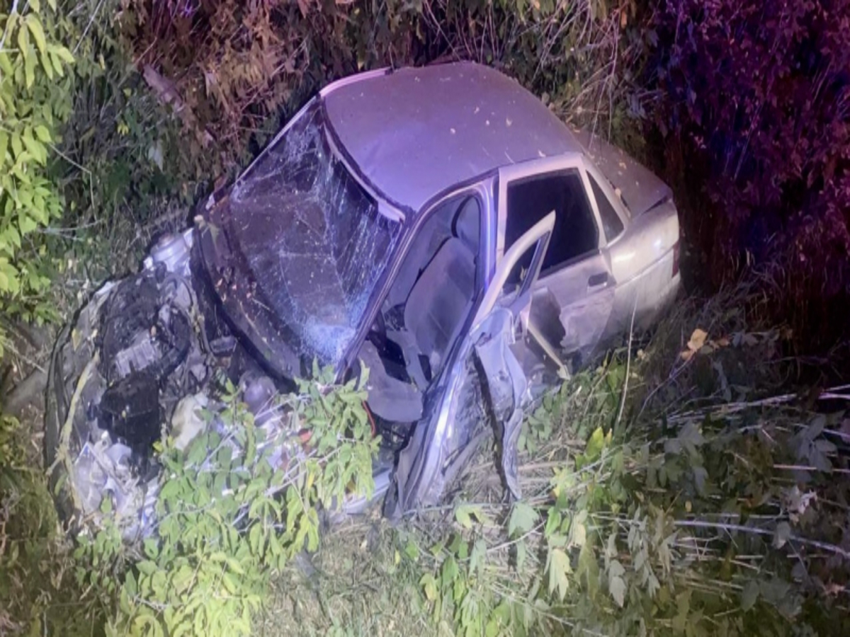 В Рязанской области в аварии пострадали два ребенка: три и пять лет