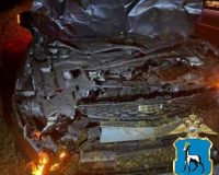 дтп погибла лошадь