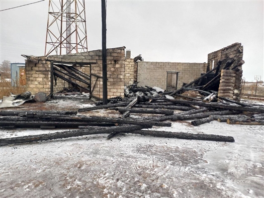 сгорели цыплята