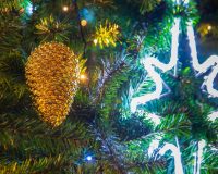 В городе Рязани зажгли новогоднюю праздничную иллюминацию